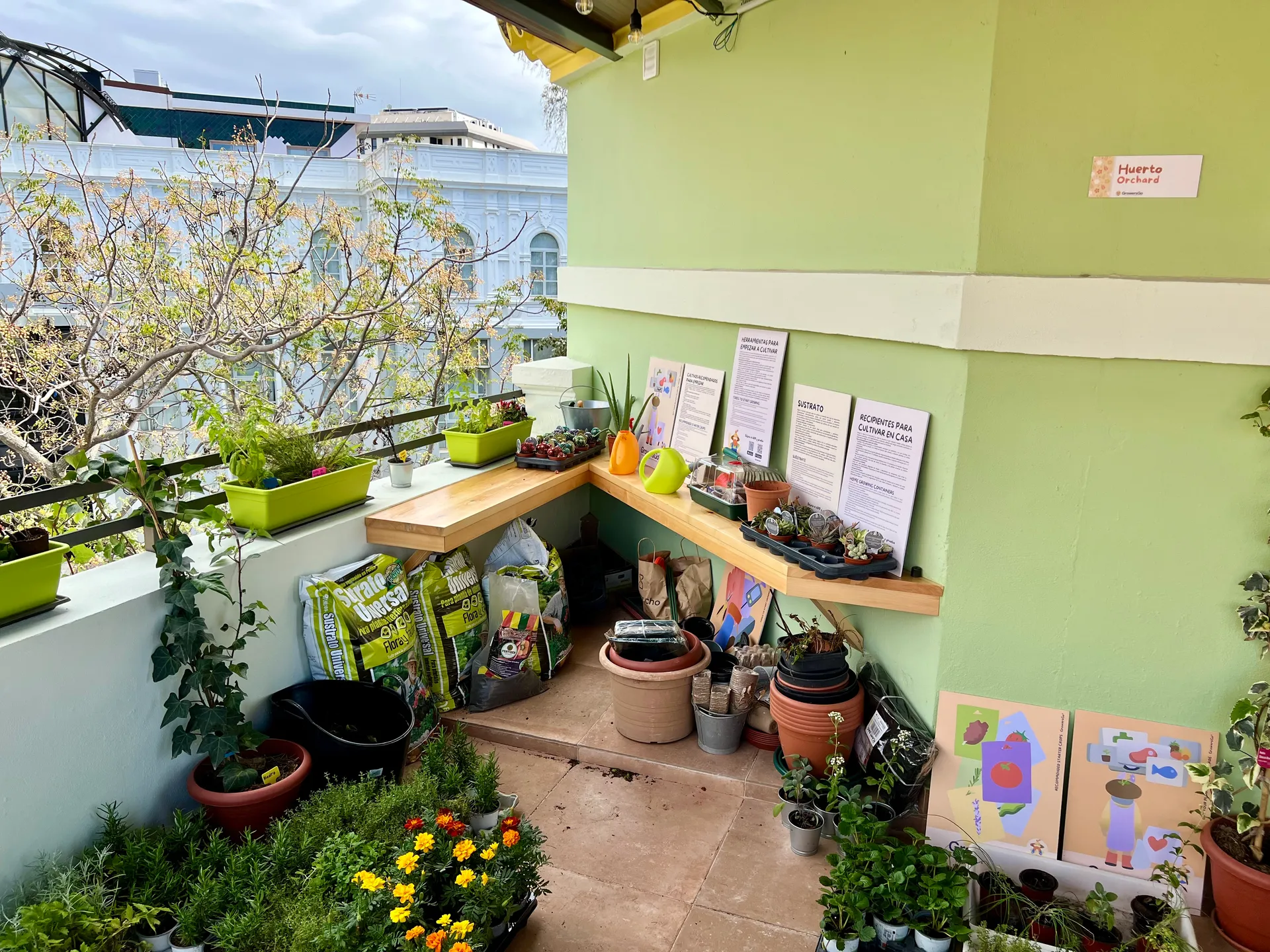 garden-therapy-cultivating-health-and-wellness-through-nature